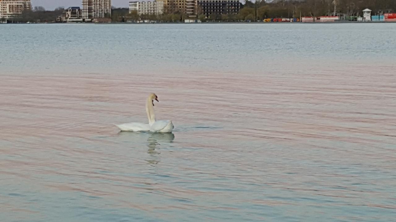 Balaton&Center Wellness Apartman Siófok Eksteriør billede